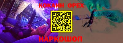 стафф Кингисепп